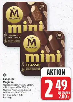 E-Center Langnese magnum mini Angebot