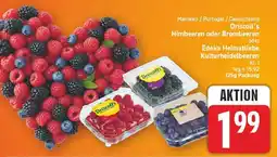 E-Center Driscoll's himbeeren Angebot
