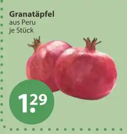 V Markt Granatäpfel Angebot