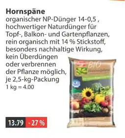 V Markt Hornspäne Angebot