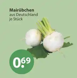 V Markt Mairübchen Angebot