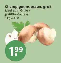 V Markt Champignons braun, groß Angebot