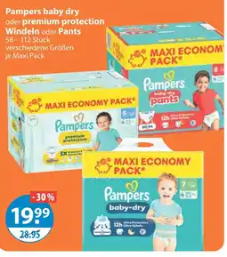 V Markt Pampers baby dry Angebot