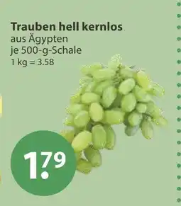 V Markt Trauben hell kernlos Angebot