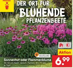 Netto Marken-Discount Sonnenhut Angebot