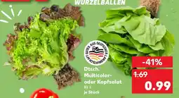 Kaufland Dtsch. Multicolor oder Kopfsalat Angebot