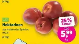 Denns BioMarkt Nektarinen Angebot