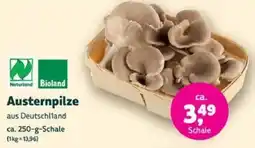 Denns BioMarkt Naturland Bioland Austernpilze Angebot