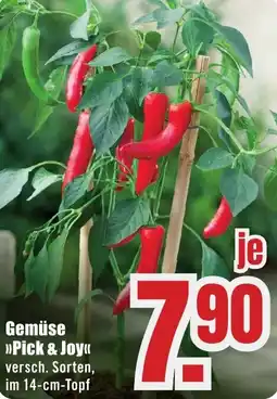 B1 Discount Baumarkt Gemüse Pick & Joy Angebot