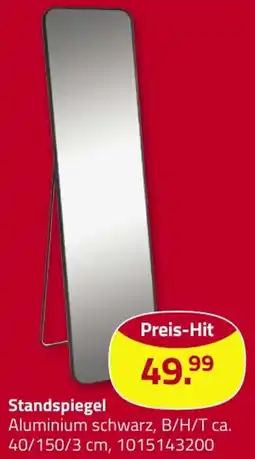 ROLLER Standspiegel Angebot