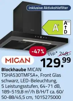 ROLLER Blockhaube MICAN TSHA530TMFSA+ Angebot