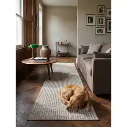 Netto Marken-Discount Läufer Kurzflor Grau 78 x 300 cm - NORA Kadima Design Angebot