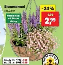 Thomas Philipps Blumenampel Angebot