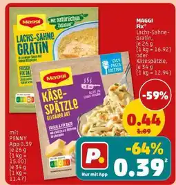 PENNY Maggi fix Angebot