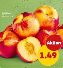 PENNY Nektarinen Angebot