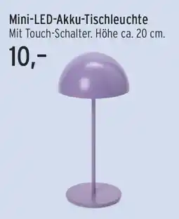 Edeka Mini-LED-Akku-Tischleuchte Angebot