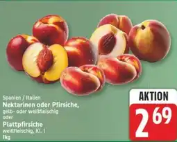 Marktkauf Nektarinen oder Pfirsiche oder Plattpfirsiche Angebot