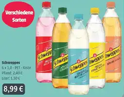Ellerkamp Getränke Schweppes Angebot