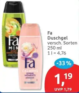 Budni Fa Duschgel Angebot