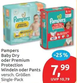 Budni Pampers Baby Dry oder Premium Protection Windeln oder Pants Angebot
