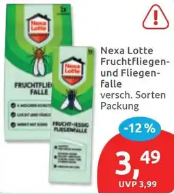 Budni Nexa Lotte Fruchtfliegen- und Fliegenfalle Angebot