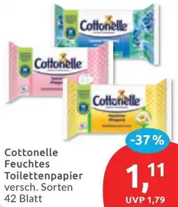 Budni Cottonelle Feuchtes Toilettenpapier Angebot