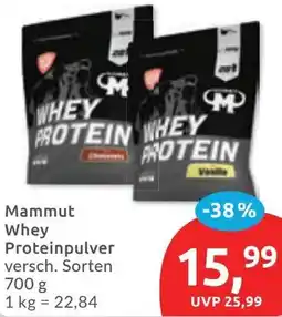 Budni Mammut Whey Proteinpulver Angebot