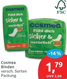 Budni Cosmea Binden Angebot
