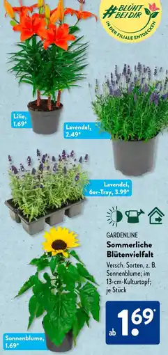 Aldi Süd GARDENLINE Sommerliche Blütenvielfalt Angebot