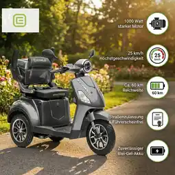 Netto Marken-Discount Econelo E-Seniorenmobil Yogi-IQ, Lithium-Akku, 3-Rad, 1000 Watt, Grau Angebot