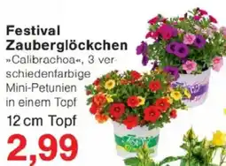Jawoll Festival Zauberglöckchen Angebot