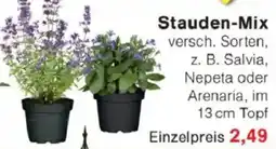 Jawoll Stauden-Mix Angebot