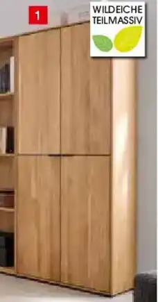 Zurbrüggen LINEA NATURA Aktenschrank hoch Angebot
