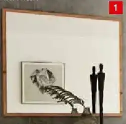 Zurbrüggen Voleo Spiegel Angebot