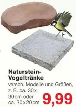 Jawoll Naturstein Vogeltränke Angebot