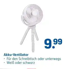 Rossmann Akku-Ventilator Angebot
