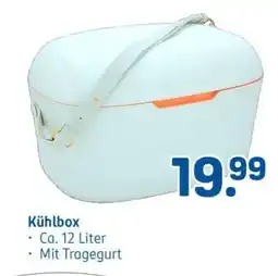 Rossmann Kühlbox Angebot