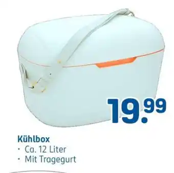 Kühlbox