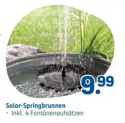 Rossmann Solar-Springbrunnen Angebot