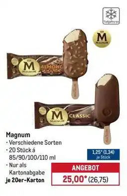 METRO Magnum Angebot