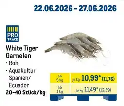 METRO White Tiger Garnelen Angebot