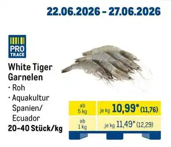 METRO White Tiger Garnelen Angebot
