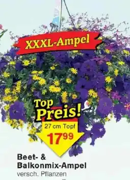 Jawoll Beet & Balkonmix-Ampel Angebot