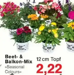 Jawoll Beet & Balkon-Mix Angebot