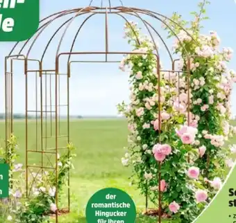 Thomas Philipps Rosenpavillon Angebot