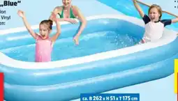 Thomas Philipps BestWay Family-Pool Blue Angebot
