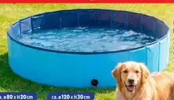 Thomas Philipps BestWay Hundepool Angebot