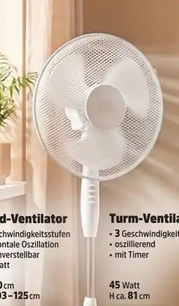 Thomas Philipps Stand-Ventilator Angebot