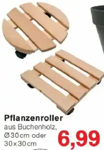 Jawoll Pflanzenroller Angebot