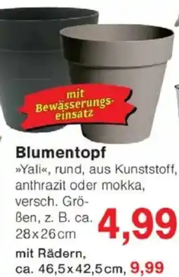 Jawoll Blumentopf Angebot